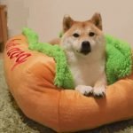54c7e0fd-0cdd-41a7-a5ef-70a147fdc6d5.jpeg