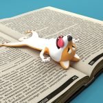 1216642216901.jpg